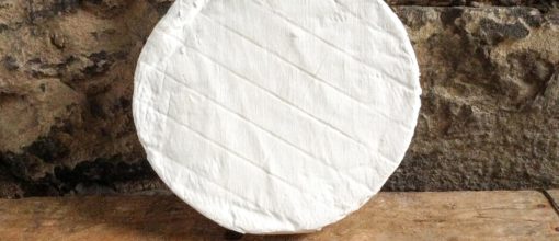 Your Guide to Artisan Irish Brie.