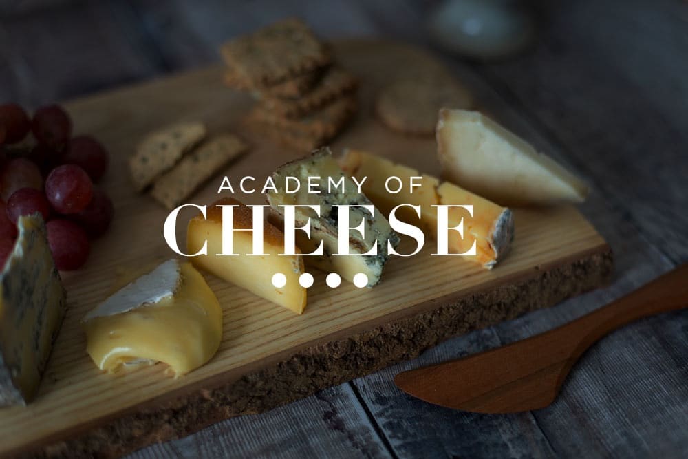 academy of cheese tasting webup